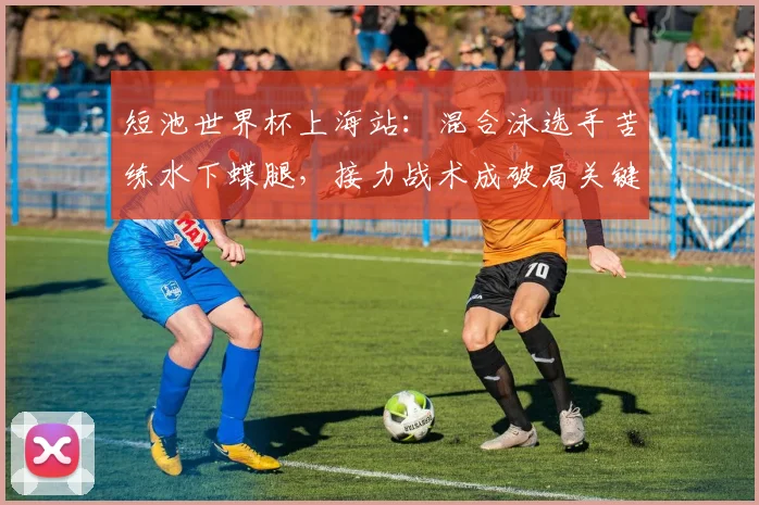 短池世界杯上海站：混合泳选手苦练水下蝶腿，接力战术成破局关键