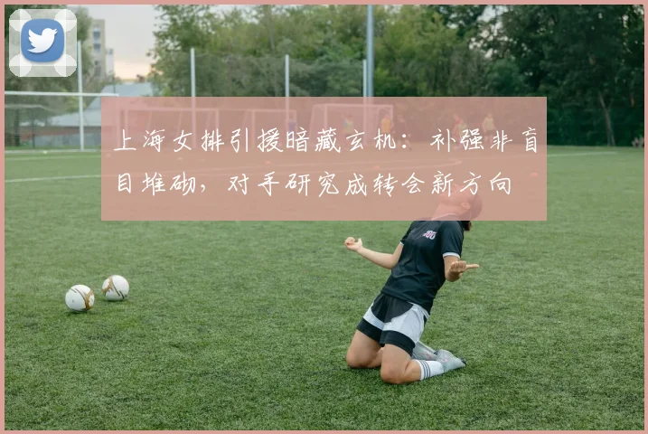 上海女排引援暗藏玄机：补强非盲目堆砌，对手研究成转会新方向