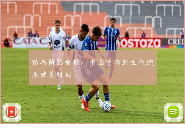 伤病阴影渐散，中国金花新生代迎来破茧时刻