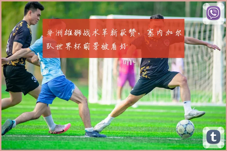 非洲雄狮战术革新获赞，塞内加尔队世界杯前景被看好