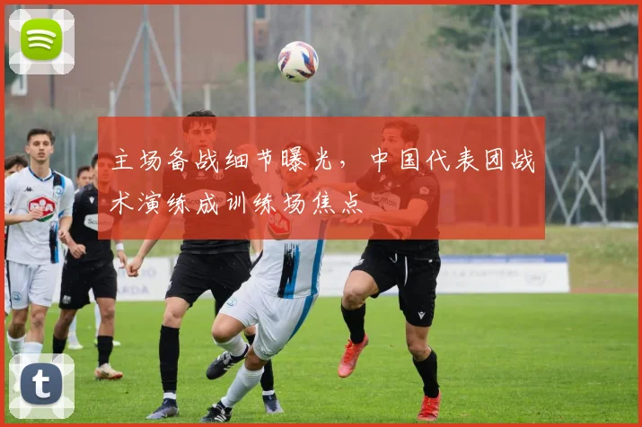主场备战细节曝光，中国代表团战术演练成训练场焦点